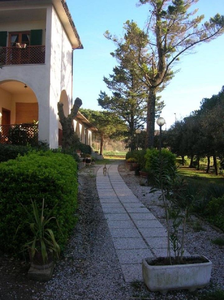 Hotel Il Poggetto Castellina Marittima Eksteriør billede
